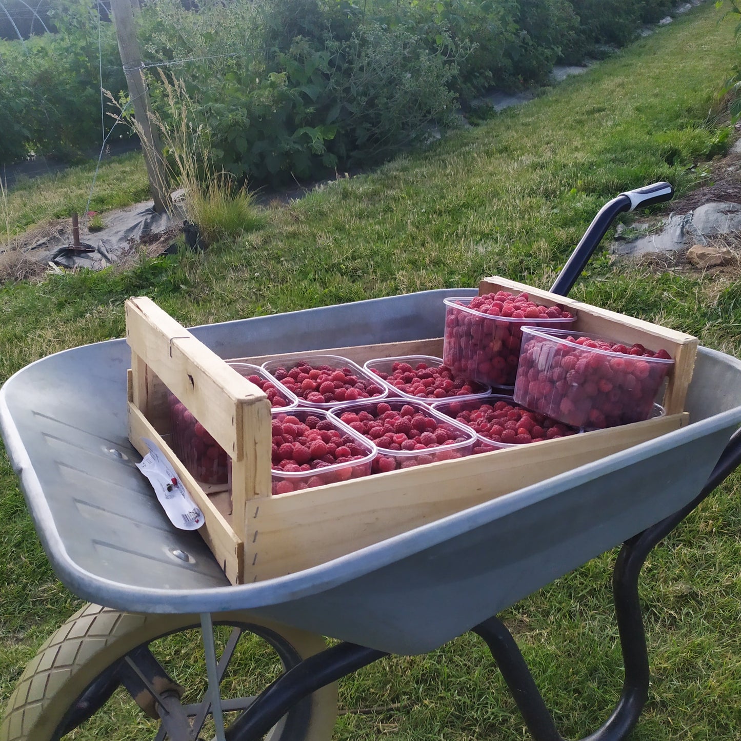 Confiture Extra de Framboise